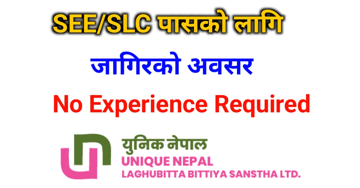 Nepal Laghubitta Bittiya Sanstha Ltd.: