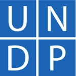 Programme Analyst