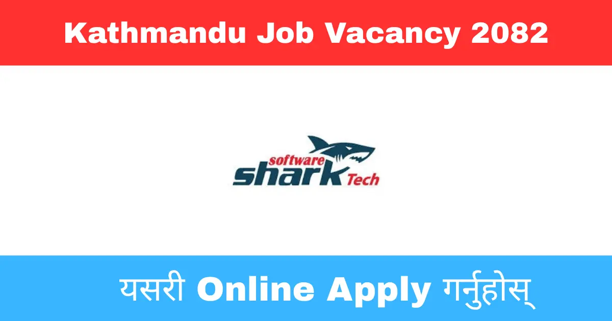 Marketing and Sales Executive