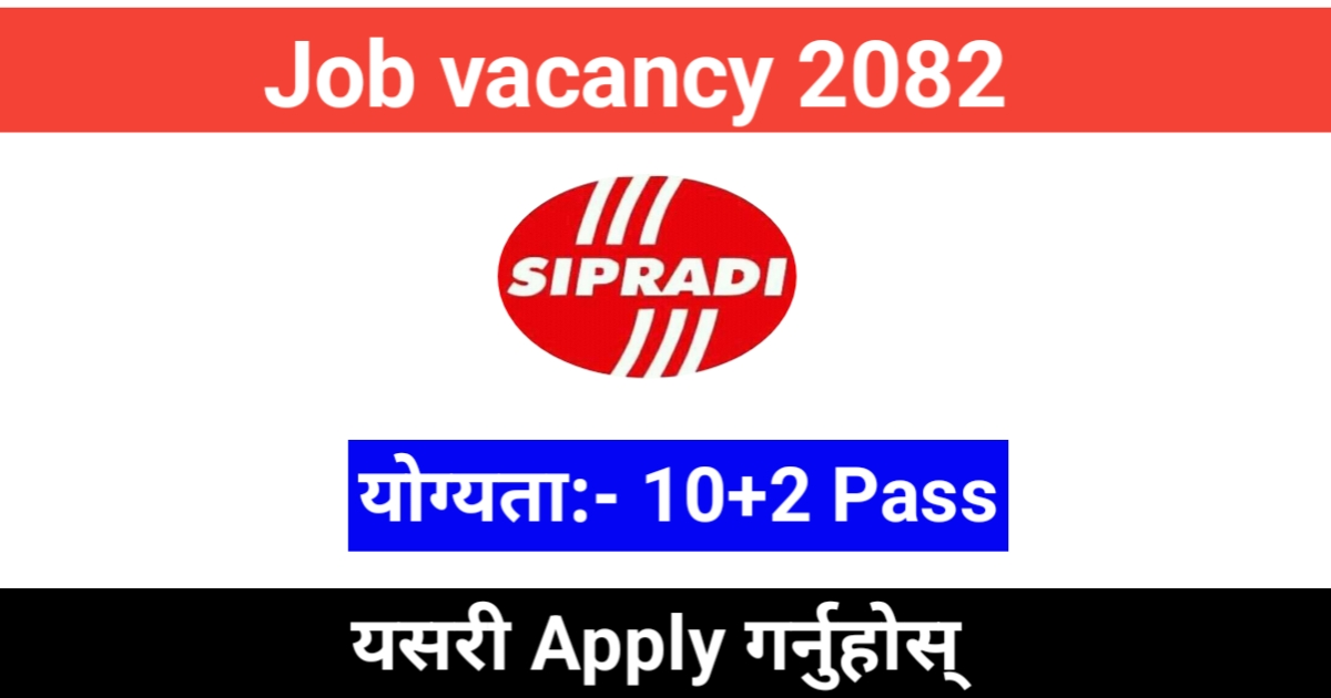 Sales Executive