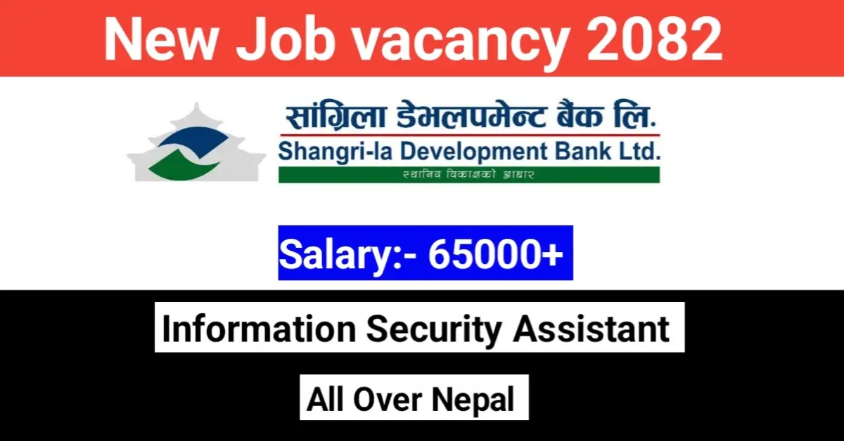 Information Security Assistant